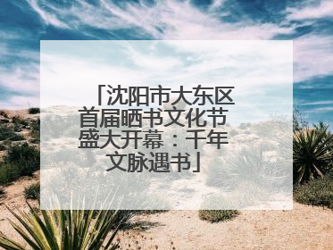 沈阳市大东区首届晒书文化节盛大开幕：千年文脉遇书
