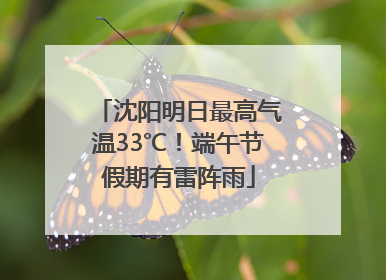 沈阳明日最高气温33℃！端午节假期有雷阵雨
