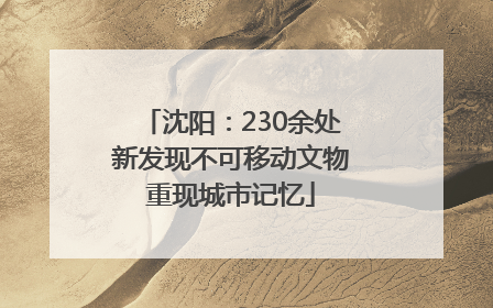 沈阳：230余处新发现不可移动文物重现城市记忆