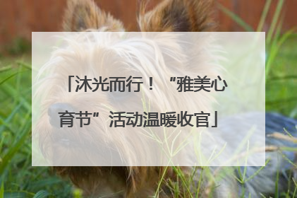 沐光而行！“雅美心育节”活动温暖收官
