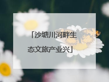 沙塘川河畔生态文旅产业兴