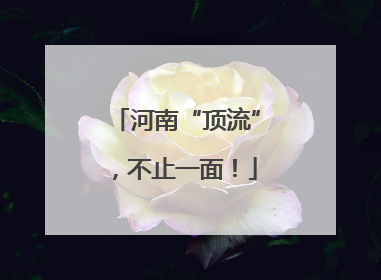 河南“顶流”，不止一面！