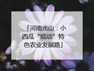 河南光山：小西瓜“撬动”特色农业发展路