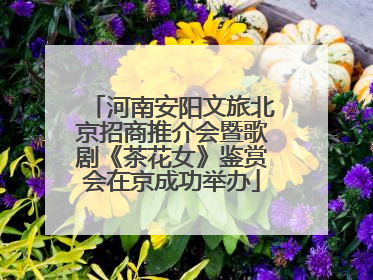 河南安阳文旅北京招商推介会暨歌剧《茶花女》鉴赏会在京成功举办