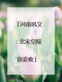 河南巩义：北宋皇陵迎麦收