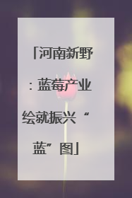 河南新野：蓝莓产业绘就振兴“蓝”图