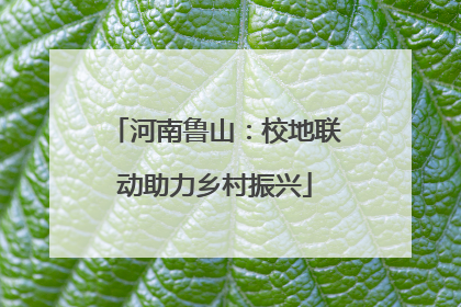 河南鲁山：校地联动助力乡村振兴