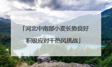 河北中南部小麦长势良好 积极应对干热风挑战