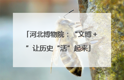 河北博物院：“文博＋”让历史“活”起来
