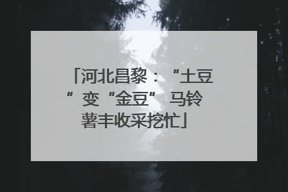 河北昌黎：“土豆”变“金豆” 马铃薯丰收采挖忙