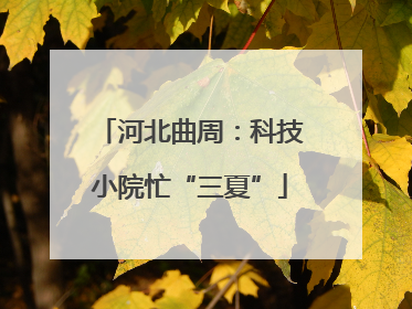 河北曲周：科技小院忙“三夏”