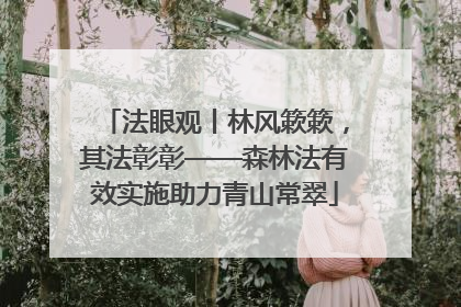 法眼观丨林风簌簌，其法彰彰——森林法有效实施助力青山常翠