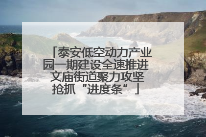 泰安低空动力产业园一期建设全速推进 文庙街道聚力攻坚抢抓“进度条”
