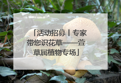 活动招募丨专家带您识花草——萱草属植物专场