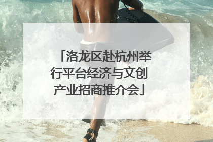 洛龙区赴杭州举行平台经济与文创产业招商推介会