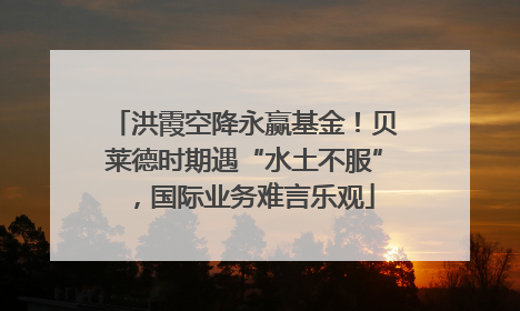 洪霞空降永赢基金！贝莱德时期遇“水土不服”，国际业务难言乐观