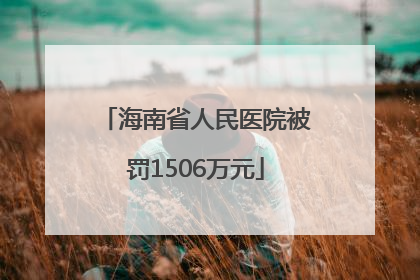 海南省人民医院被罚1506万元