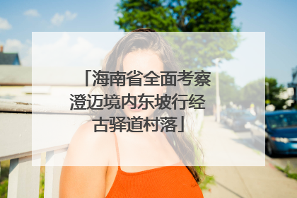 海南省全面考察澄迈境内东坡行经古驿道村落