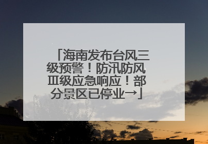 海南发布台风三级预警！防汛防风Ⅲ级应急响应！部分景区已停业→