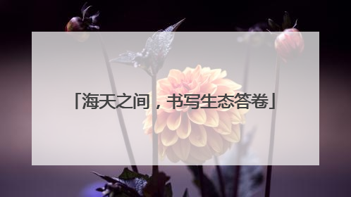 海天之间,书写生态答卷