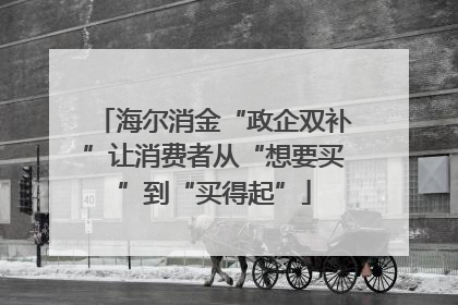 海尔消金“政企双补”让消费者从“想要买”到“买得起”