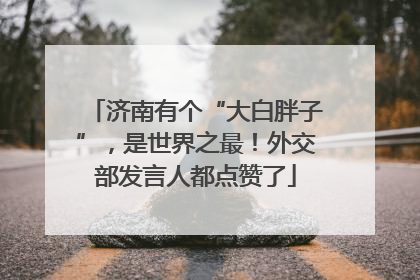 济南有个“大白胖子”，是世界之最！外交部发言人都点赞了