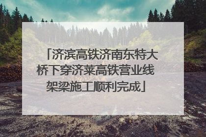 济滨高铁济南东特大桥下穿济莱高铁营业线架梁施工顺利完成