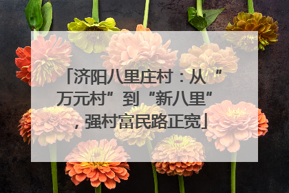 济阳八里庄村：从“万元村”到“新八里”，强村富民路正宽