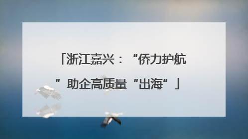 浙江嘉兴：“侨力护航”助企高质量“出海”