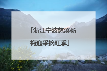 浙江宁波慈溪杨梅迎采摘旺季