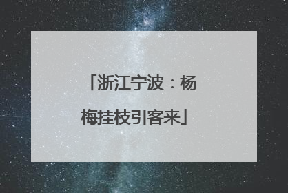 浙江宁波：杨梅挂枝引客来