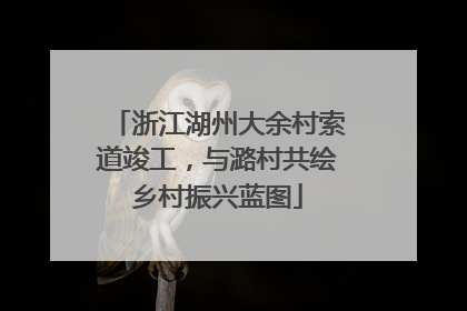 浙江湖州大余村索道竣工，与潞村共绘乡村振兴蓝图