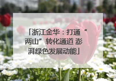 浙江金华：打通“两山”转化通道 澎湃绿色发展动能