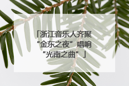 浙江音乐人齐聚“金东之夜”唱响“光南之曲”
