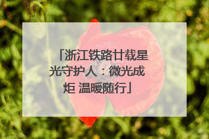 浙江铁路廿载星光守护人：微光成炬 温暖随行
