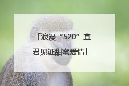 浪漫“520”宜君见证甜蜜爱情