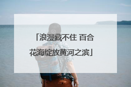 浪漫藏不住 百合花海绽放黄河之滨