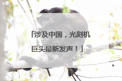 涉及中国，光刻机巨头最新发声！