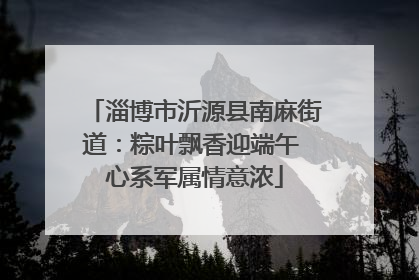 淄博市沂源县南麻街道：粽叶飘香迎端午 心系军属情意浓