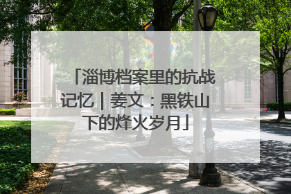 淄博档案里的抗战记忆｜姜文：黑铁山下的烽火岁月