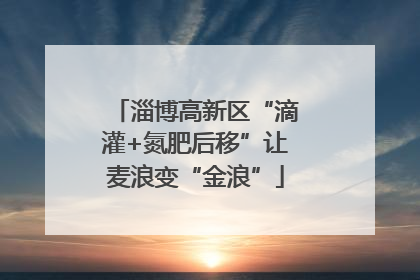 淄博高新区“滴灌+氮肥后移”让麦浪变“金浪”