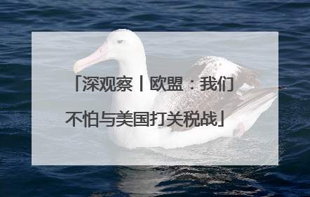 深观察丨欧盟：我们不怕与美国打关税战
