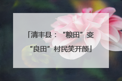 清丰县：“粮田”变“良田”村民笑开颜