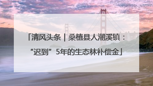 清风头条｜桑植县人潮溪镇：“迟到”5年的生态林补偿金