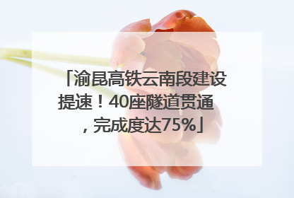 渝昆高铁云南段建设提速！40座隧道贯通，完成度达75%