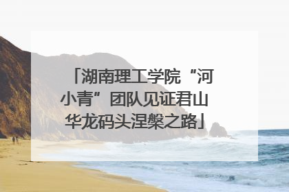 湖南理工学院“河小青”团队见证君山华龙码头涅槃之路