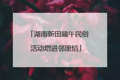 湖南新田端午民俗活动增进邻里情