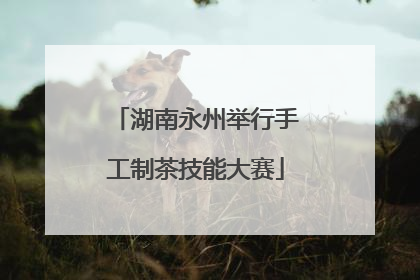 湖南永州举行手工制茶技能大赛