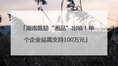 湖南鼓励“湘品”出境！单个企业最高支持100万元