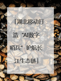 湖北移动打造“AI数字哨兵”护航长江生态链